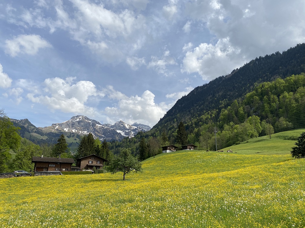 Flüeli Ranft - landscape
