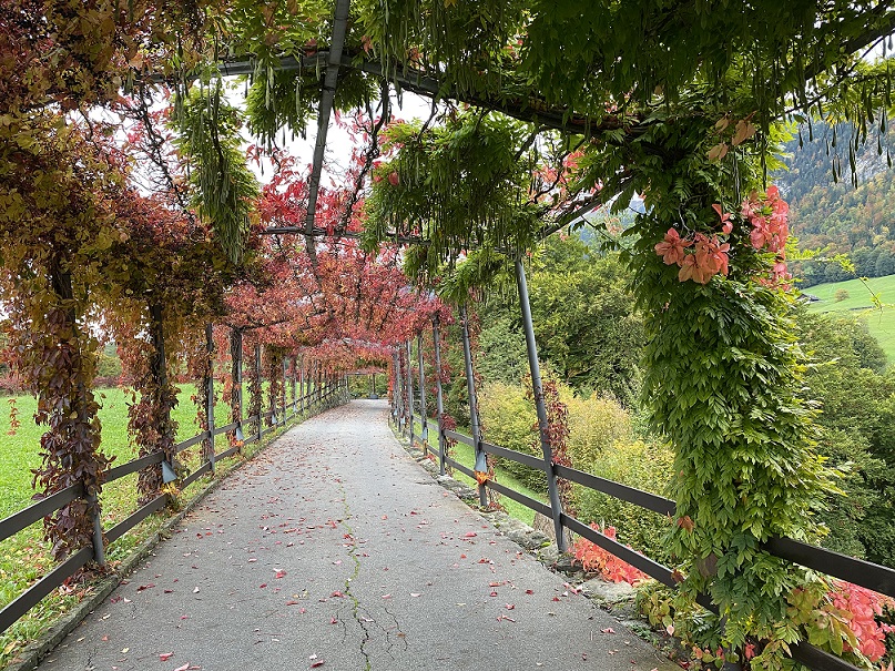 The pergola walk to the Jugendstil-Hotel